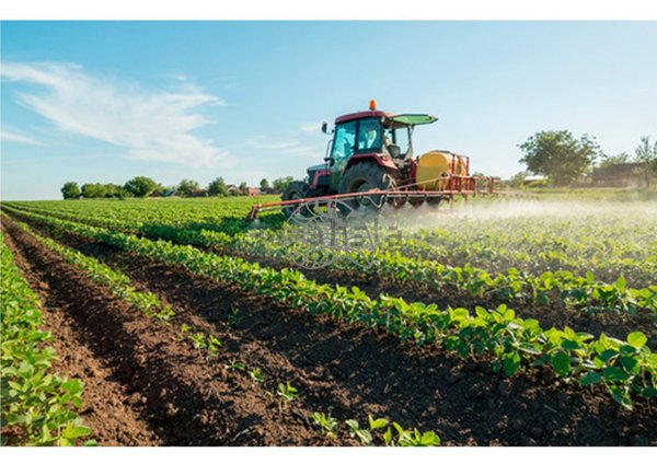 terreno agricolo in vendita a Jesolo
