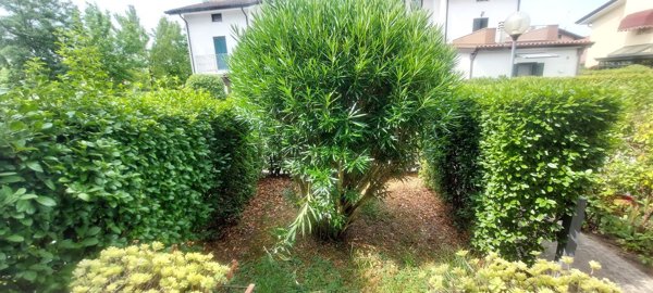 appartamento in vendita a Jesolo
