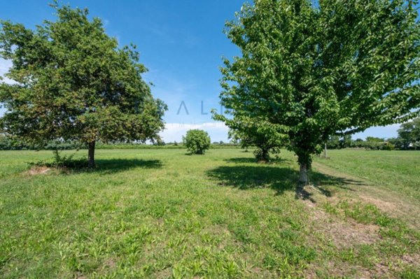 casa indipendente in vendita a Jesolo in zona Cortellazzo