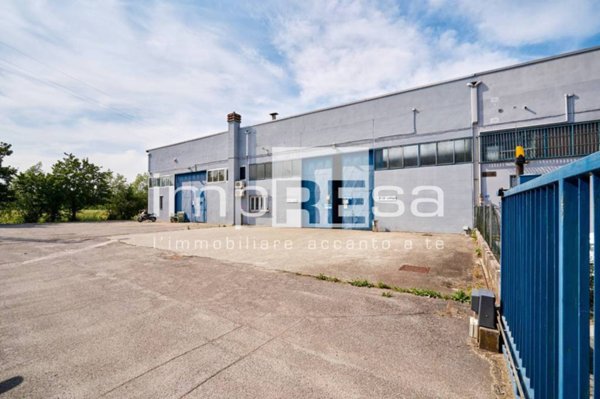 immagine annuncio 0 di 1