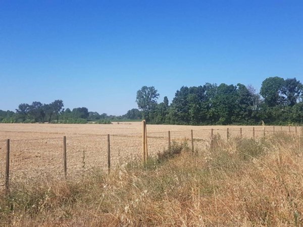 casa indipendente in vendita a Marcon