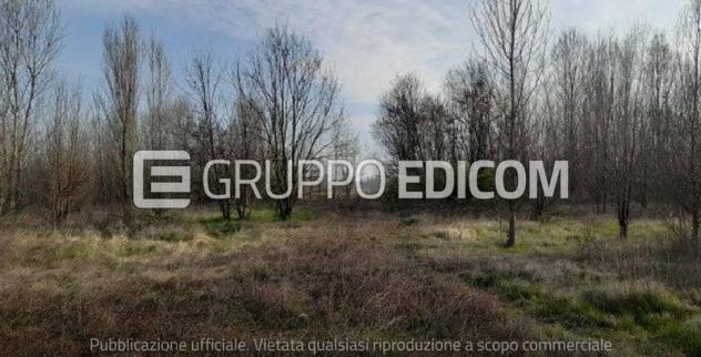 terreno edificabile in vendita a Marcon