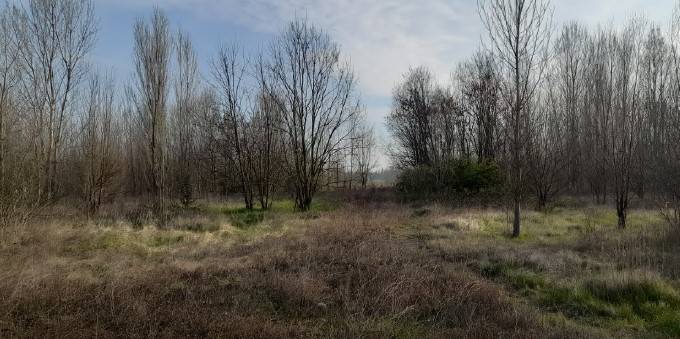 terreno edificabile in vendita a Marcon
