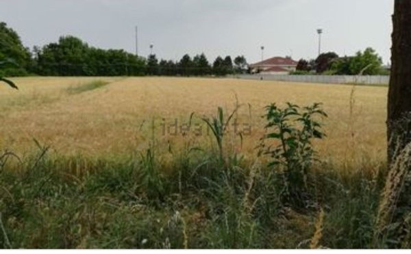 casa indipendente in vendita a Marcon