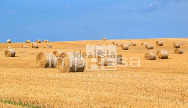 terreno agricolo in vendita a Marcon in zona Zuccarello