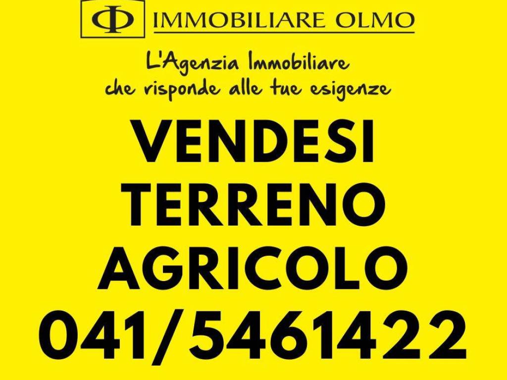terreno agricolo in vendita a Martellago in zona Olmo