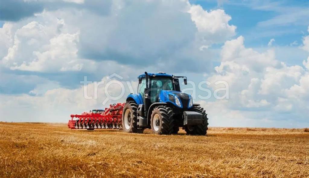 terreno agricolo in vendita a Martellago