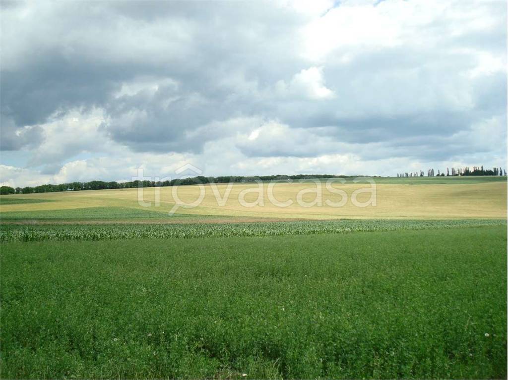 terreno agricolo in vendita a Martellago in zona Maerne