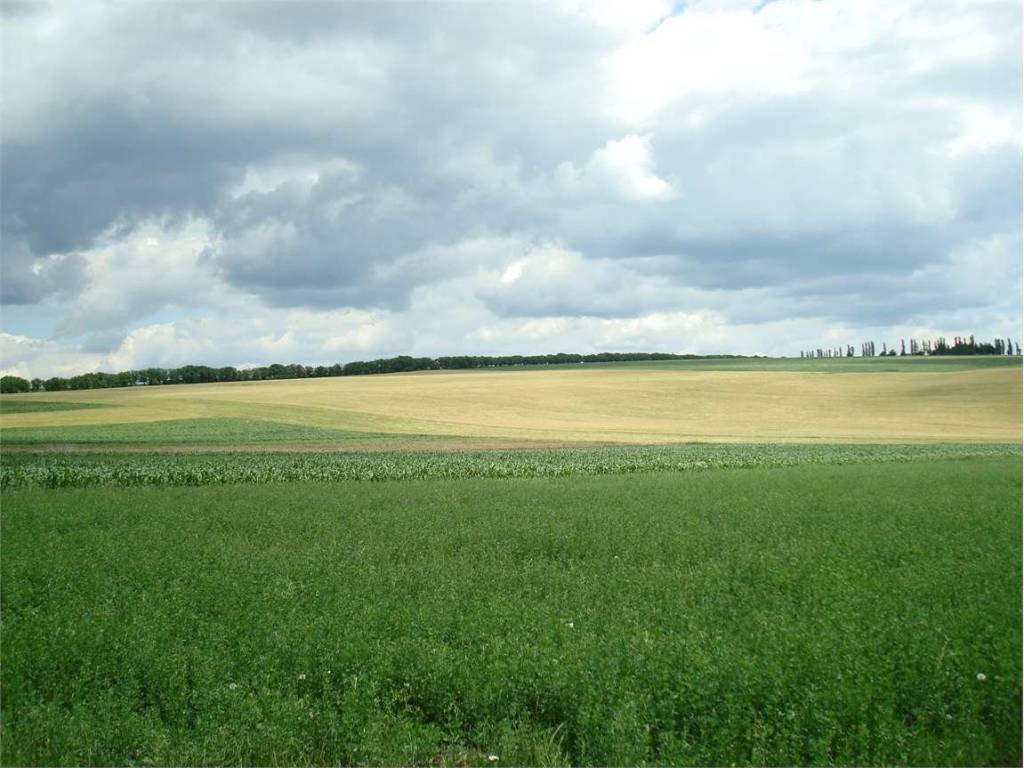 terreno agricolo in vendita a Martellago in zona Maerne