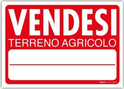 terreno agricolo in vendita a Martellago in zona Maerne