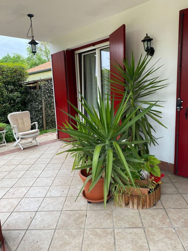 casa indipendente in vendita a Martellago