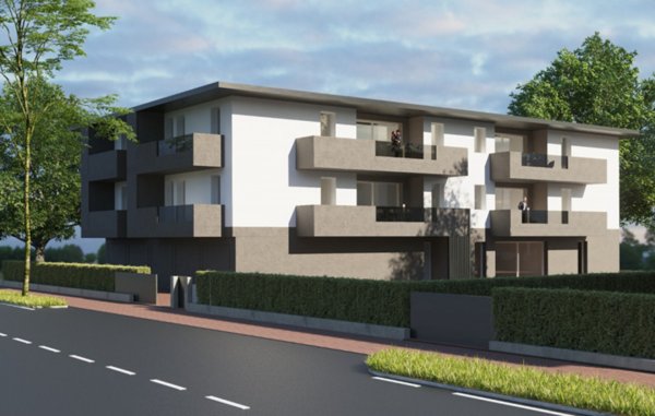 immagine annuncio 0 di 5