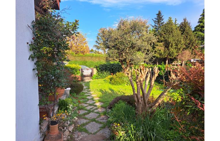 casa indipendente in vendita a Martellago