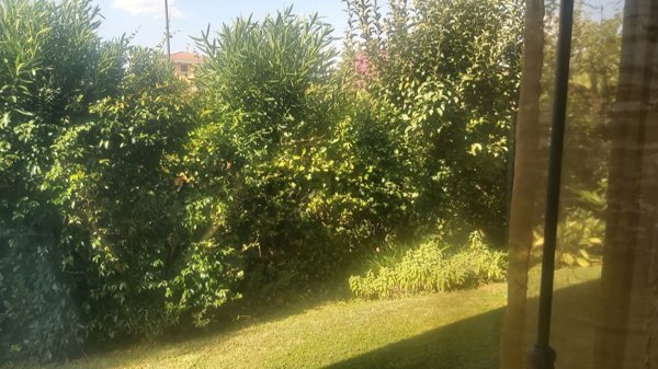 casa indipendente in vendita a Martellago