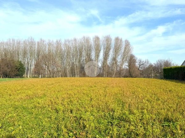 terreno agricolo in vendita a Martellago in zona Maerne