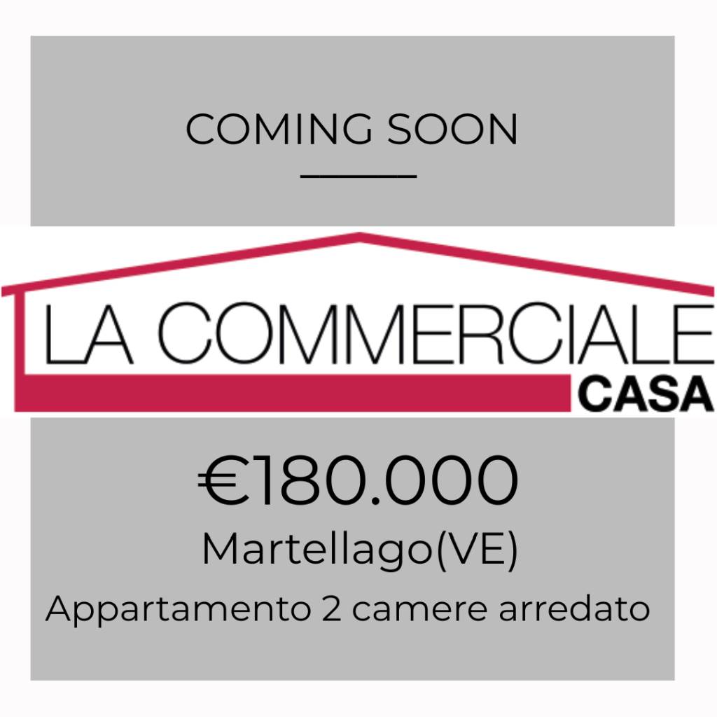 appartamento in vendita a Martellago