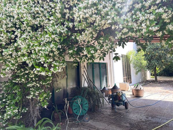 casa indipendente in vendita a Martellago