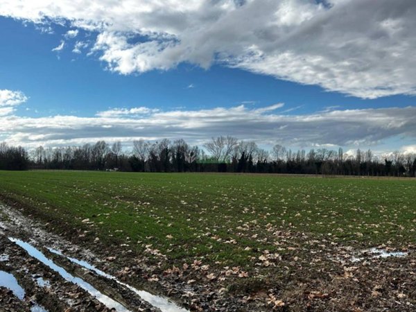 terreno agricolo in vendita a Martellago in zona Olmo