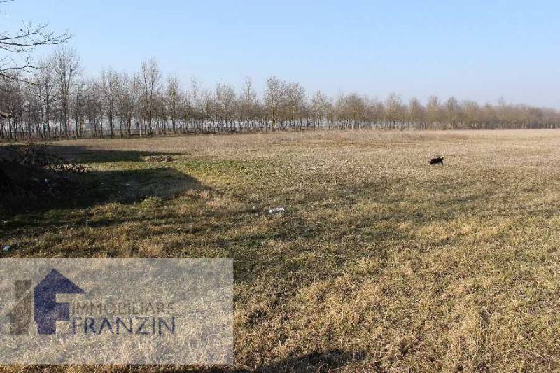 terreno agricolo in vendita a Meolo in zona Marteggia