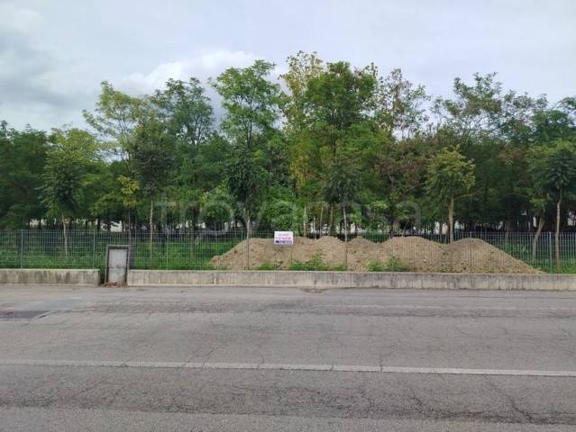 terreno in vendita a Meolo