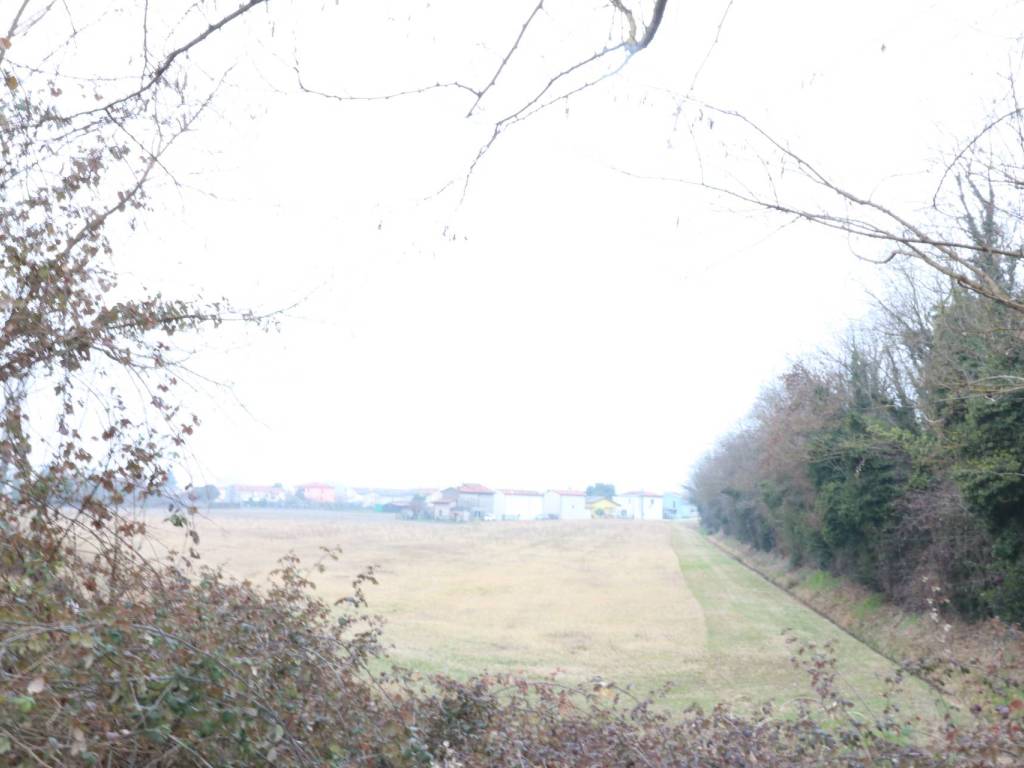 terreno agricolo in vendita a Mira in zona Piazza Vecchia