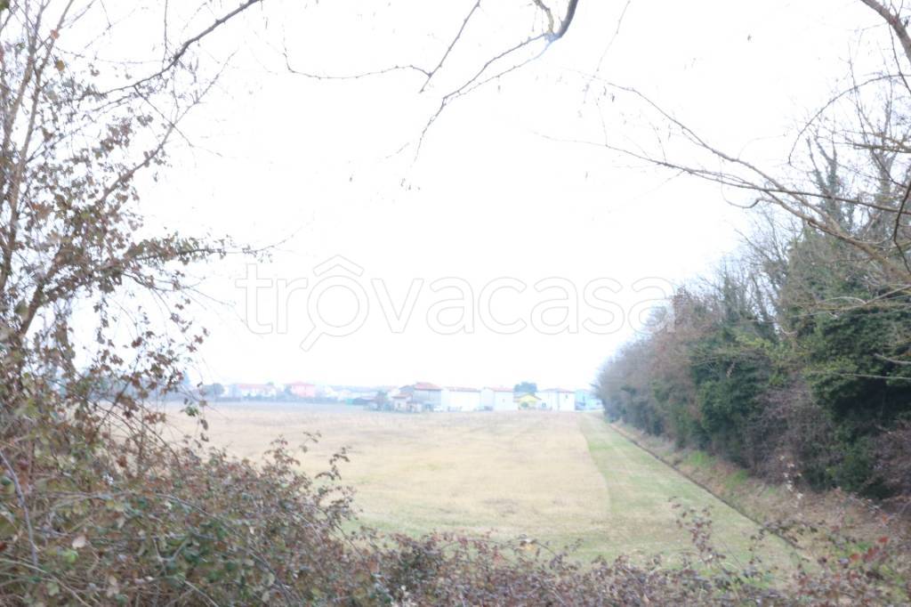 terreno agricolo in vendita a Mira in zona Piazza Vecchia