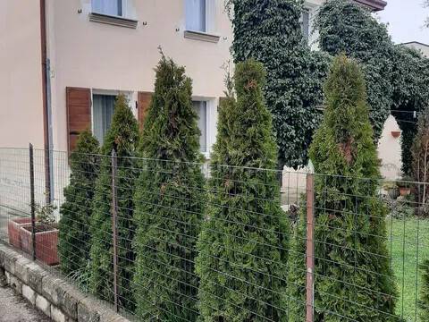 casa indipendente in vendita a Mira in zona Marano