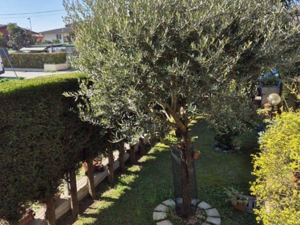 casa indipendente in vendita a Mira