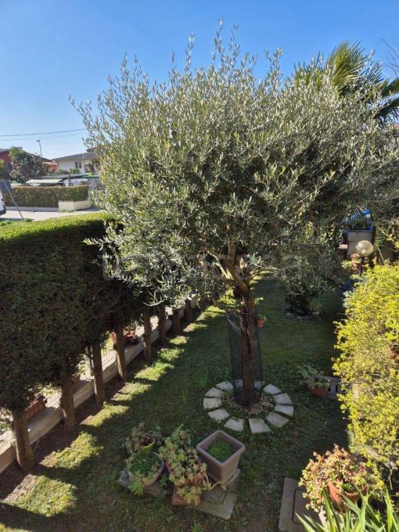 casa indipendente in vendita a Mira in zona La Casona