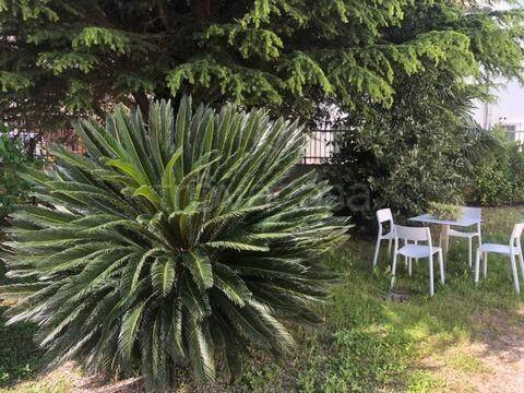 appartamento in vendita a Mira