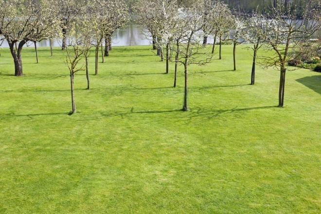 terreno agricolo in vendita a Mira