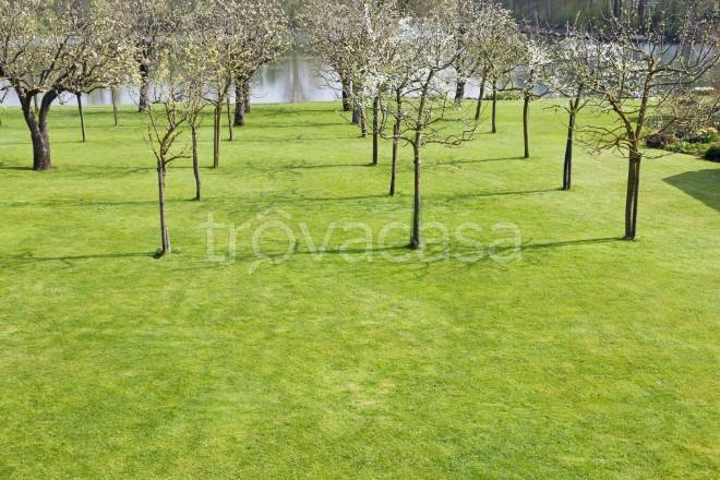 terreno edificabile in vendita a Mira