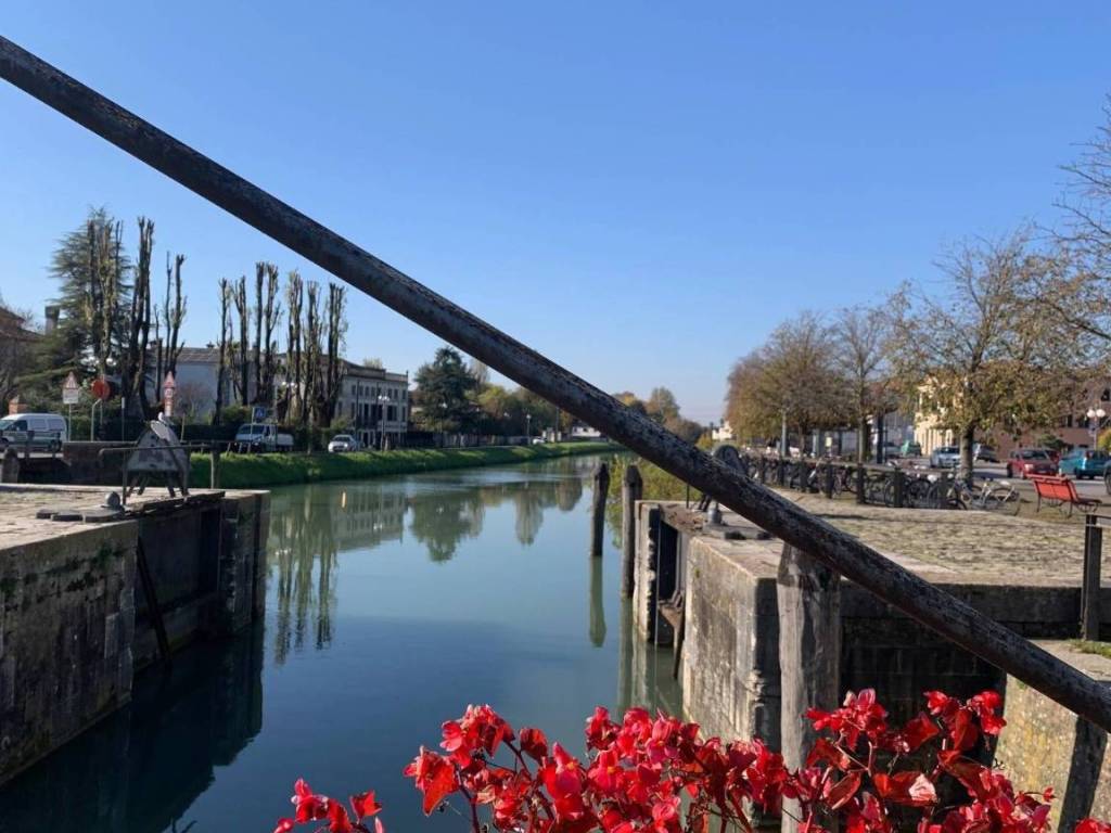 casa indipendente in vendita a Mira