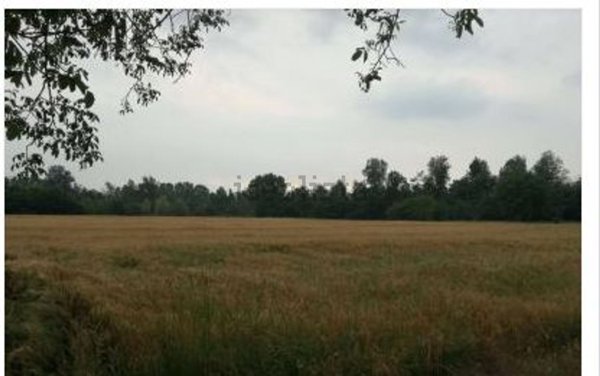 terreno agricolo in vendita a Mira in zona Marano