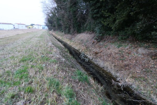 terreno agricolo in vendita a Mira