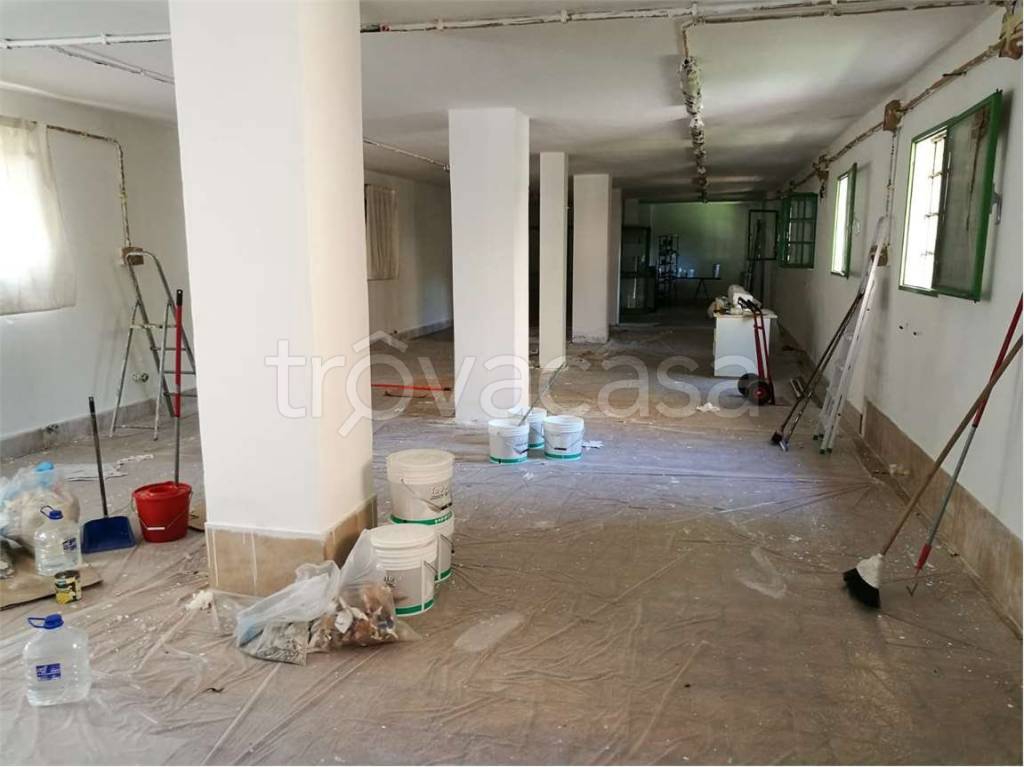 immagine annuncio 0 di 11