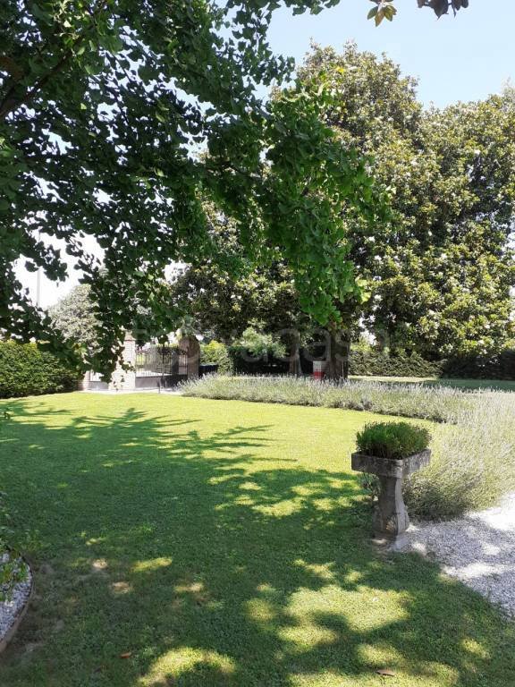 casa indipendente in vendita a Mira