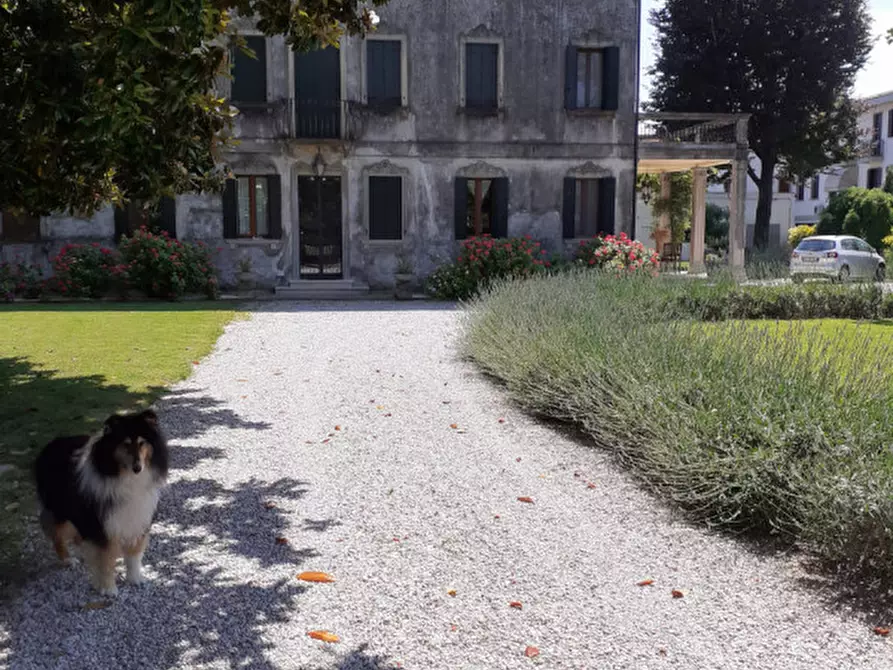 casa indipendente in vendita a Mira