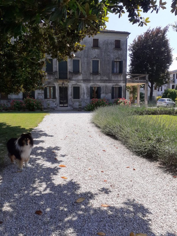 casa indipendente in vendita a Mira