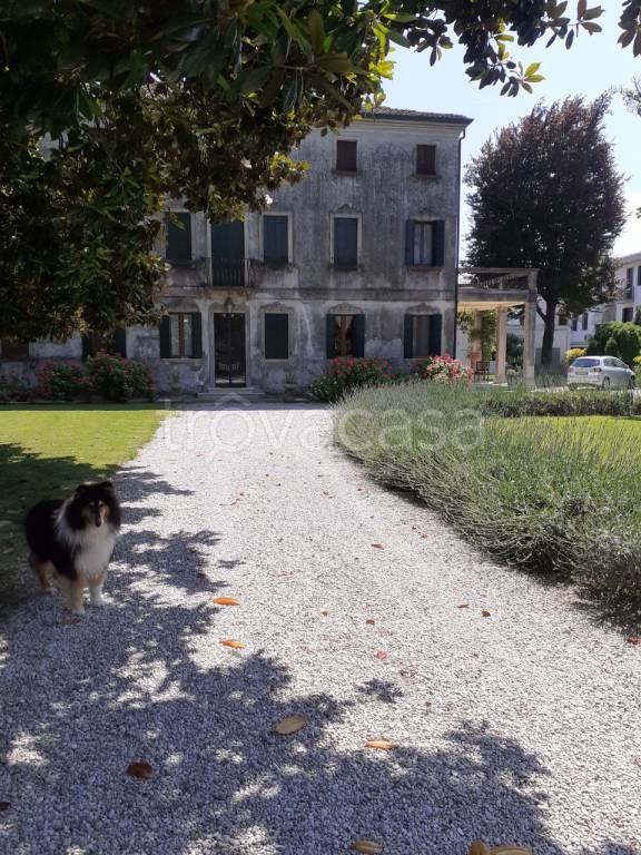 casa indipendente in vendita a Mira in zona Giovanni XXIII
