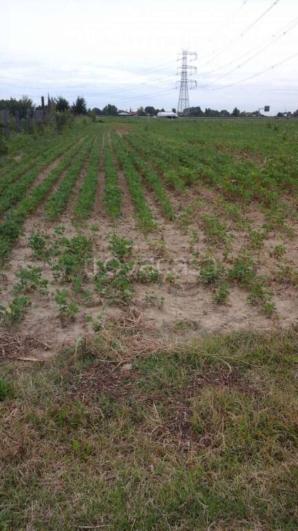 casa indipendente in vendita a Mira