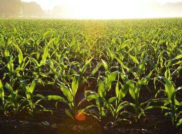 ufficio in vendita a Mira in zona Marano