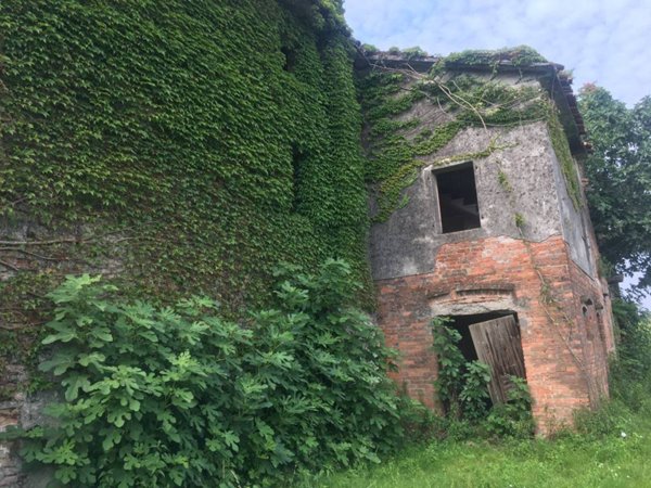 casa indipendente in vendita a Mira in zona Dogaletto
