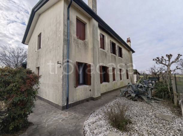 appartamento in vendita a Mira