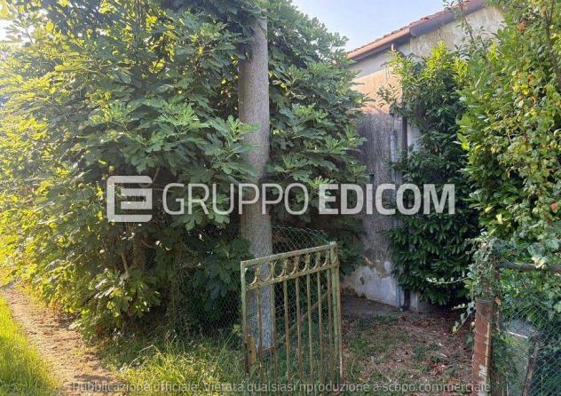 terreno agricolo in vendita a Mira