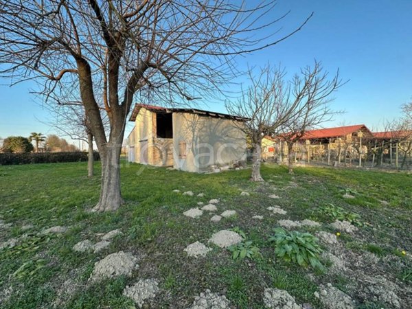 casa indipendente in vendita a Mira