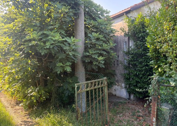 rudere in vendita a Mira in zona Piazza Vecchia