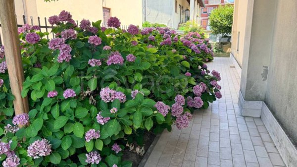 casa indipendente in vendita a Mira in zona Giovanni XXIII