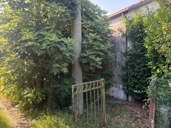 rudere in vendita a Mira in zona Giovanni XXIII