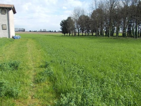 terreno agricolo in vendita a Mira in zona Marano
